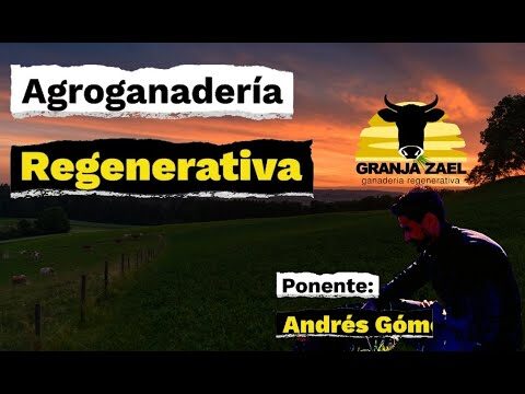 Opciones de Cursos de Marketing Digital en Molv&iacute;zar