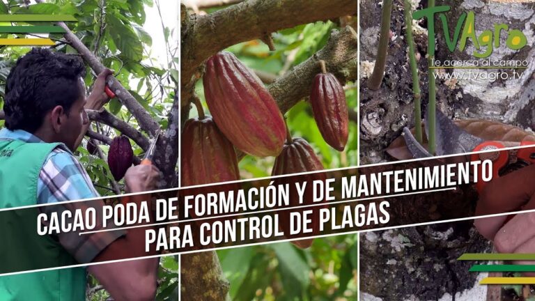Opciones de Ocio para J&oacute;venes en L&uacute;jar