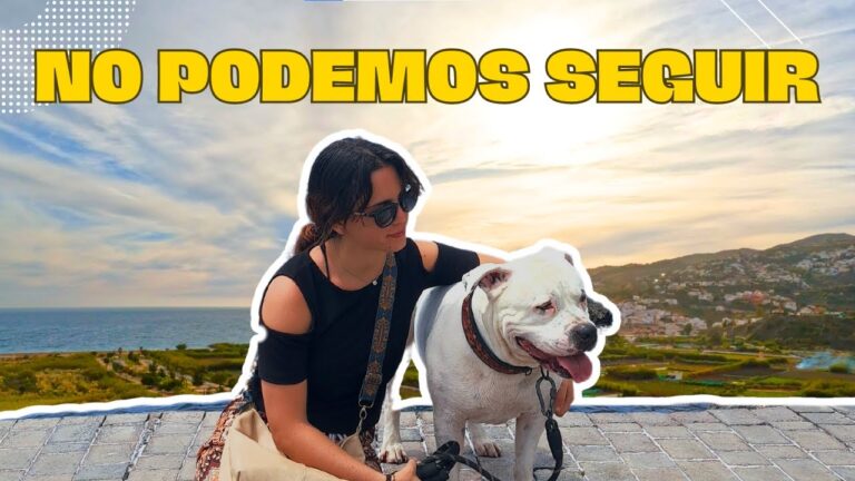 Senderismo con Perros: Mejores Rutas en Salobre&ntilde;a