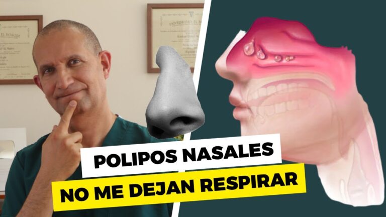 Vida Nocturna en Polopos: Un Recorrido Esencial