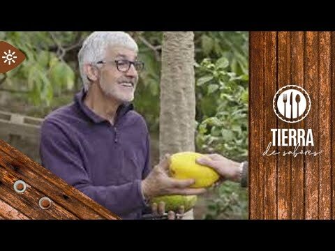 Vida Familiar en &Iacute;trabo: Experiencias y Perspectivas