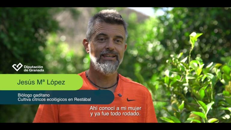 Gu&iacute;a para obtener asistencia legal en V&eacute;lez de Benaudalla